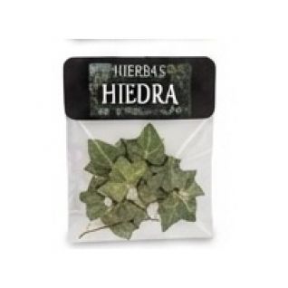 Hierba Girasol Hiedra